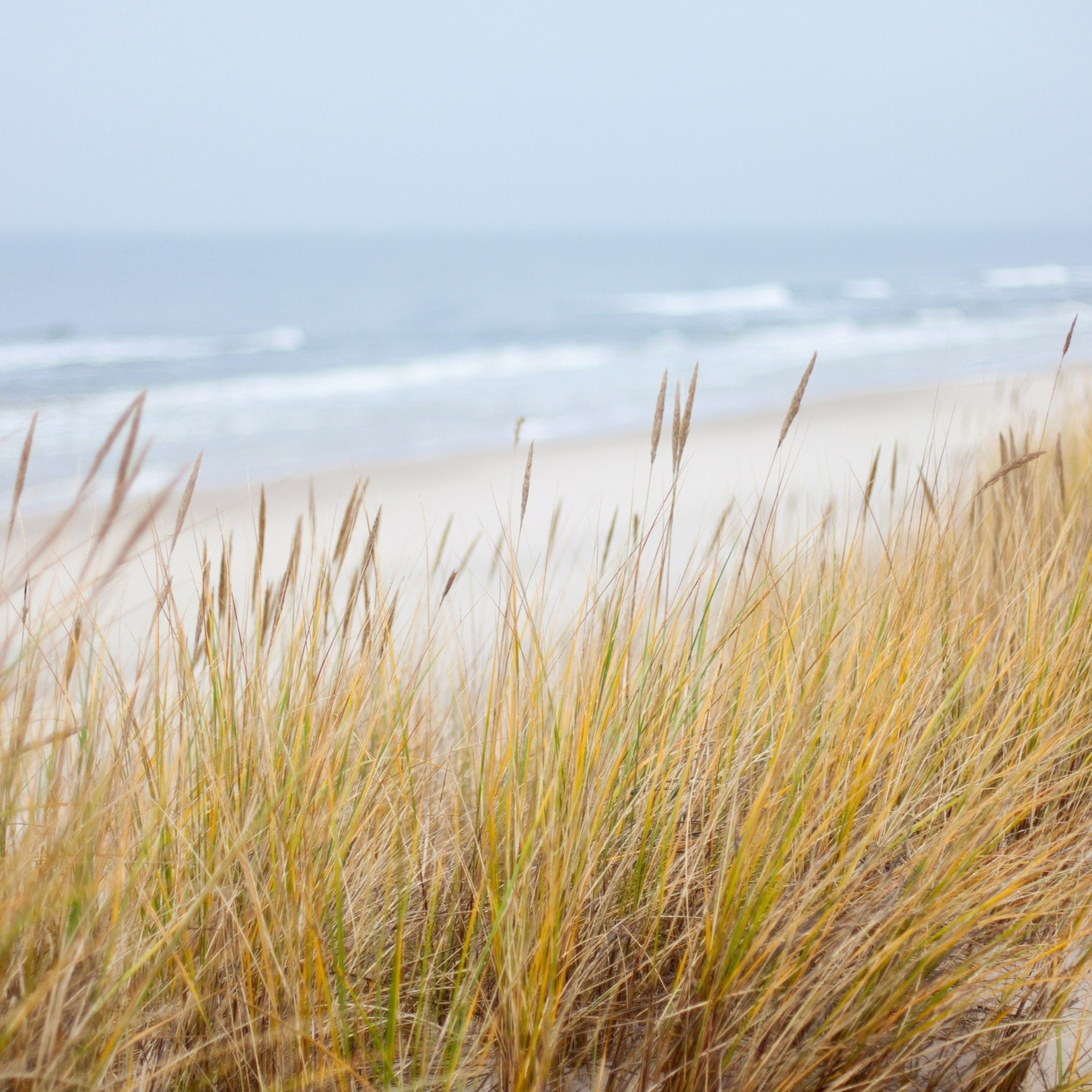Kollektion Sylt Halsschmuck Kollektion Sylt Halsschmuck
